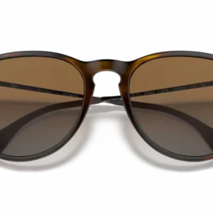 Ray-Ban (0RB4171_710/T5)