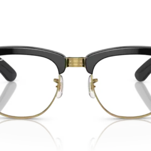 Ray-Ban (0RX0316V_2000)